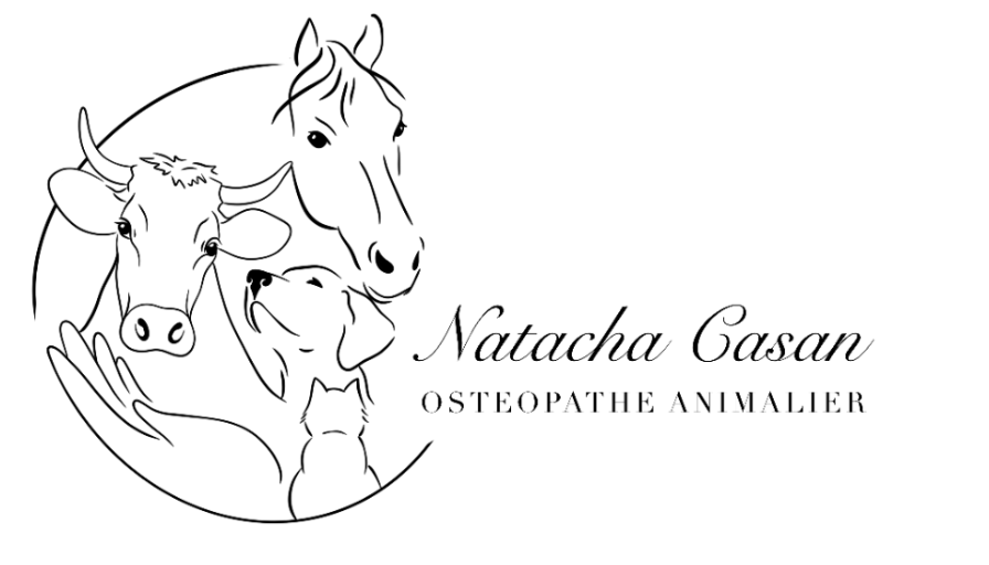 Ostéopathie animale
